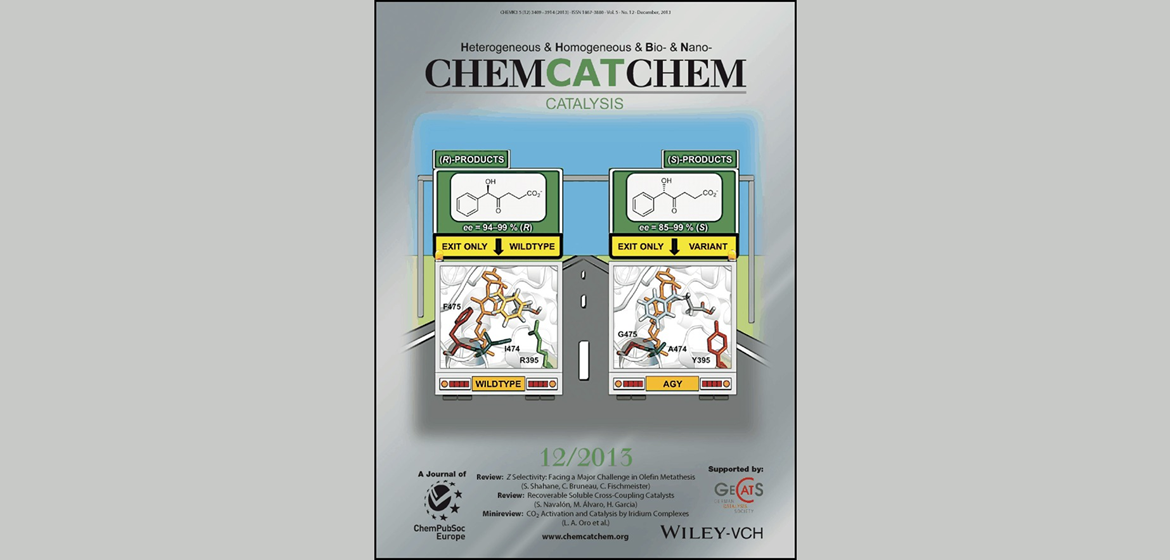 Cover ChemCatChem, Volume 5, 2013