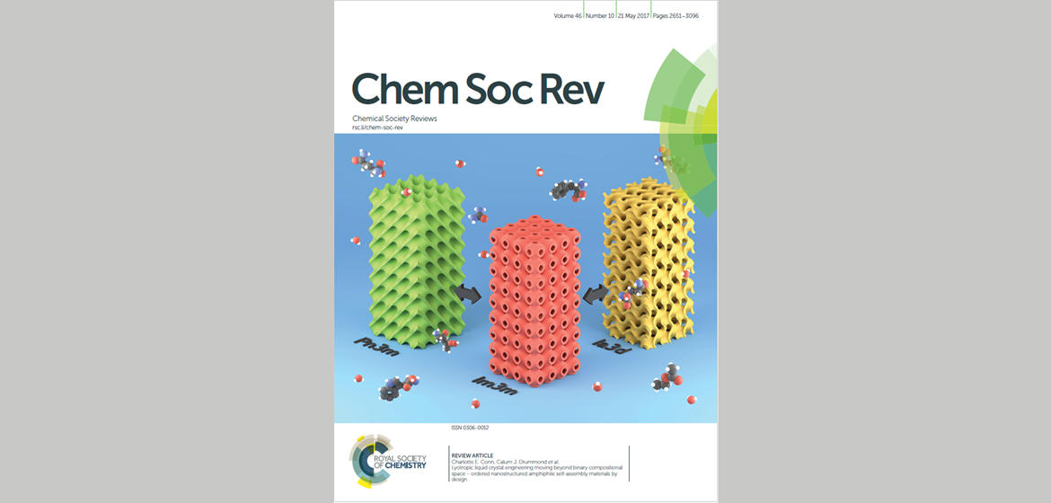 Cover Chem. Soc. Rev, Issue 10, 2017