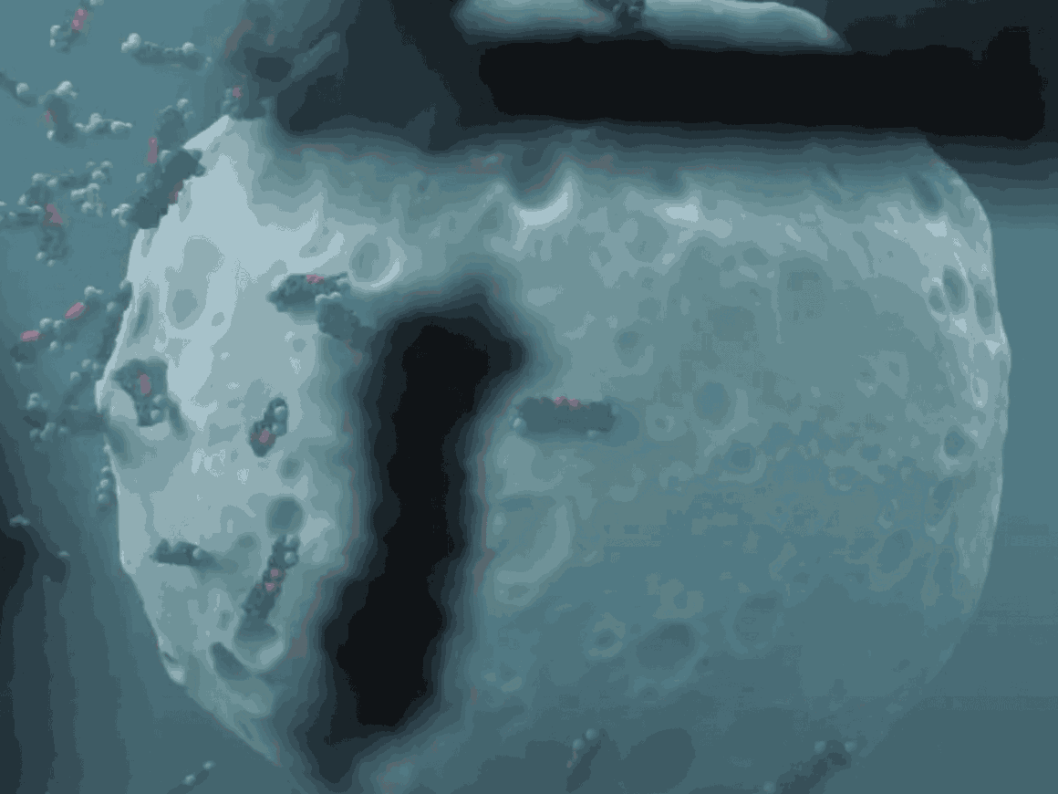 liquid solid interaction