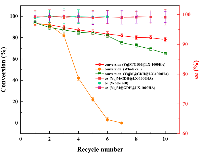 Conversion and ee shown versus number of recycles for the enzymes non-immobilized, immobilized on separate resins, and co-immobilized.