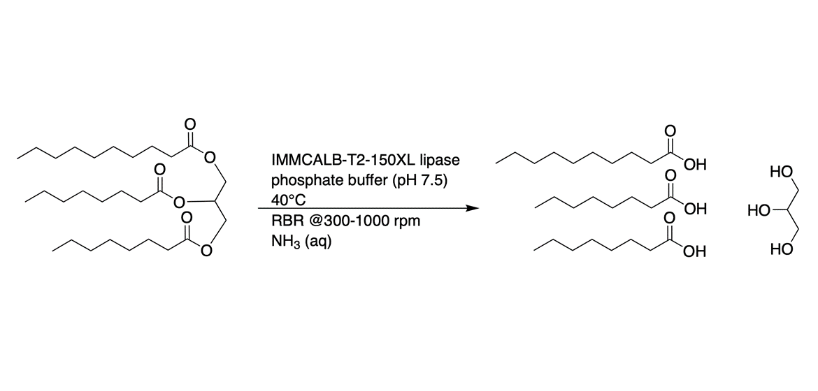 Lipasecatalyzed hydrolysis in 750 L using a rotating bed reactor